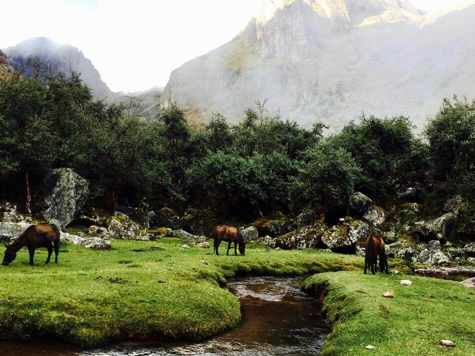 Endless landscapes of beauty here
