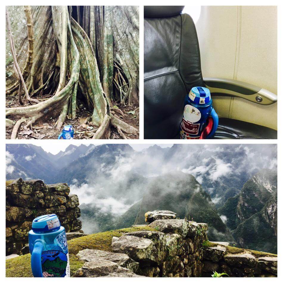 Views of Machu Picchu from the perspective of my water tumbler, Blue