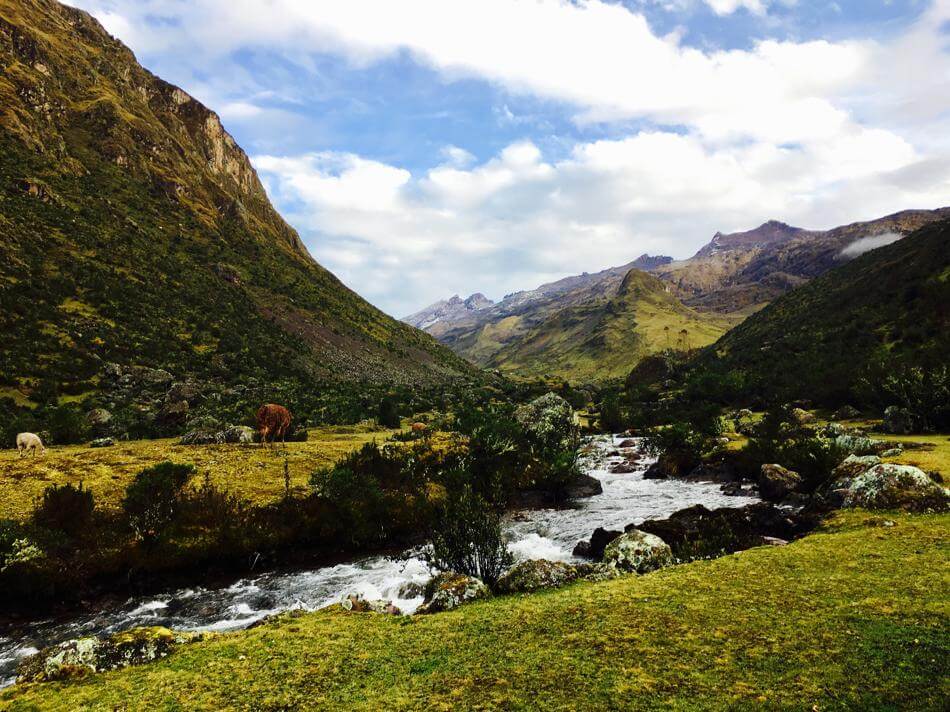Fresh water streams and wild horses, yes please!