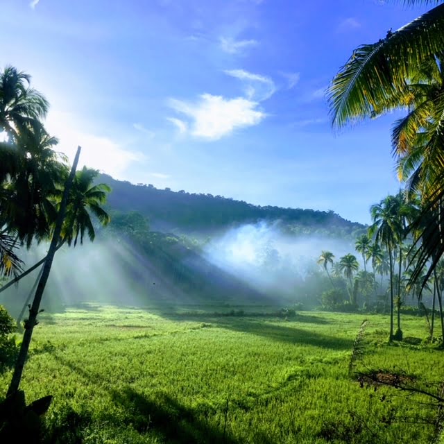 bohol.nature