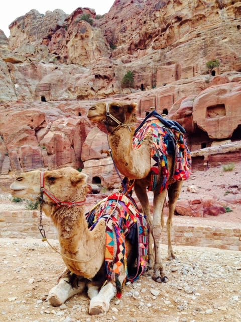camelback.jordan
