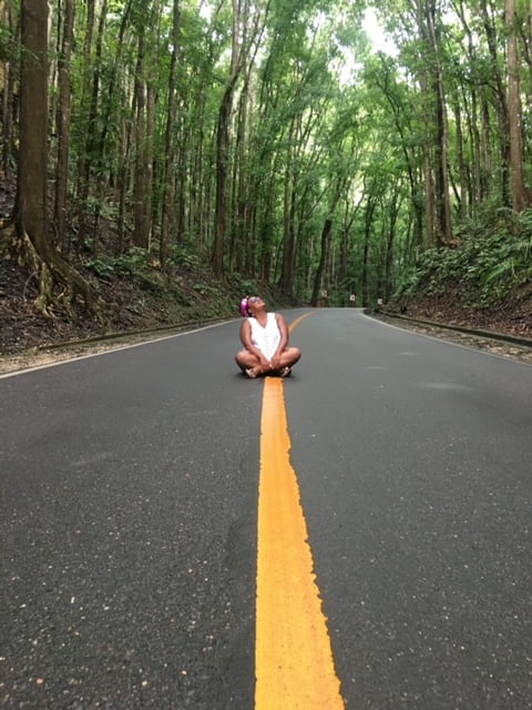 meredithsd.boholmanmadeforest