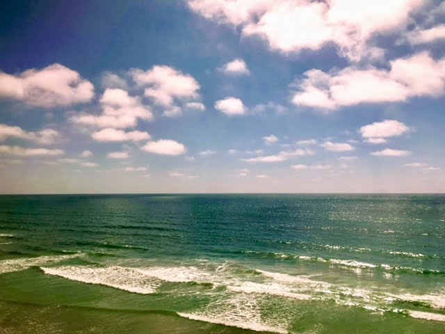 meredithsd sandiego pacificblue